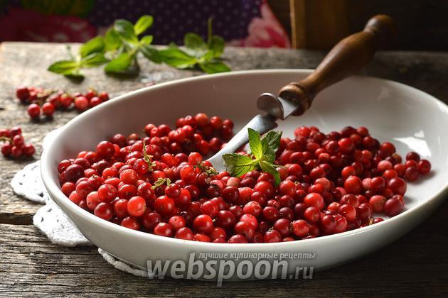 Как дольше сохранить свежую бруснику