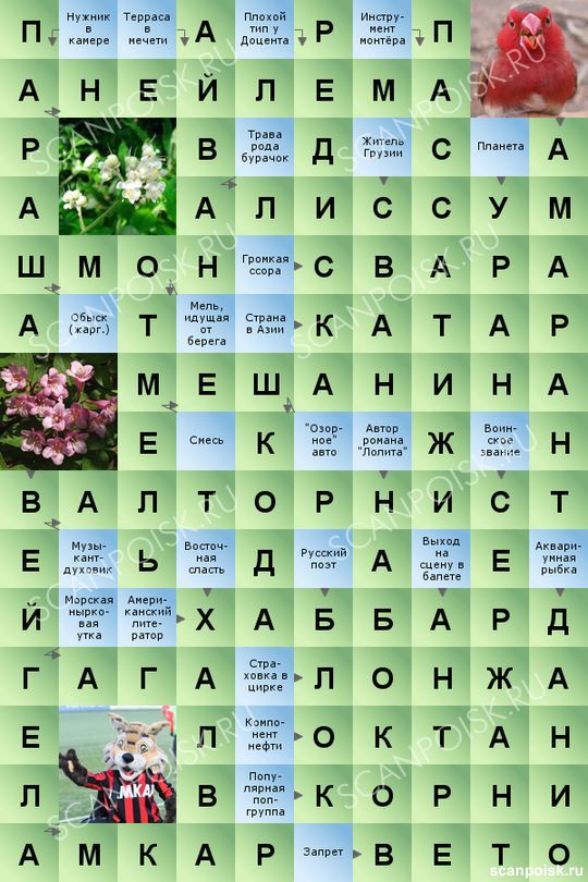 Новый сторонник учения 6 букв сканворд. Новый сторонник учения 6 букв сканворд