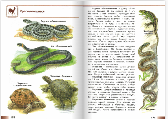 На каком рисунке изображена гадюка закрасьте. Атлас-определитель от земли до неба 3 змеи. атлас-определитель от земли до неба 3 класс змеи. атлас определитель гадюка. атлас определитель окружающий мир 3 класс гадюка.
