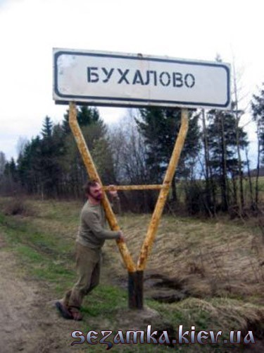 текст при наведении