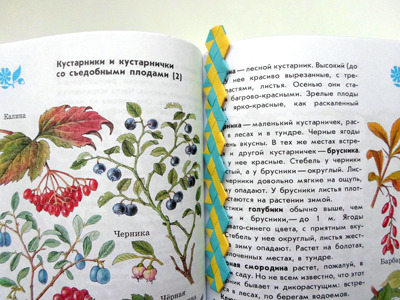 Как сделать оригинальную закладку для книг своими руками вместе с детьми?