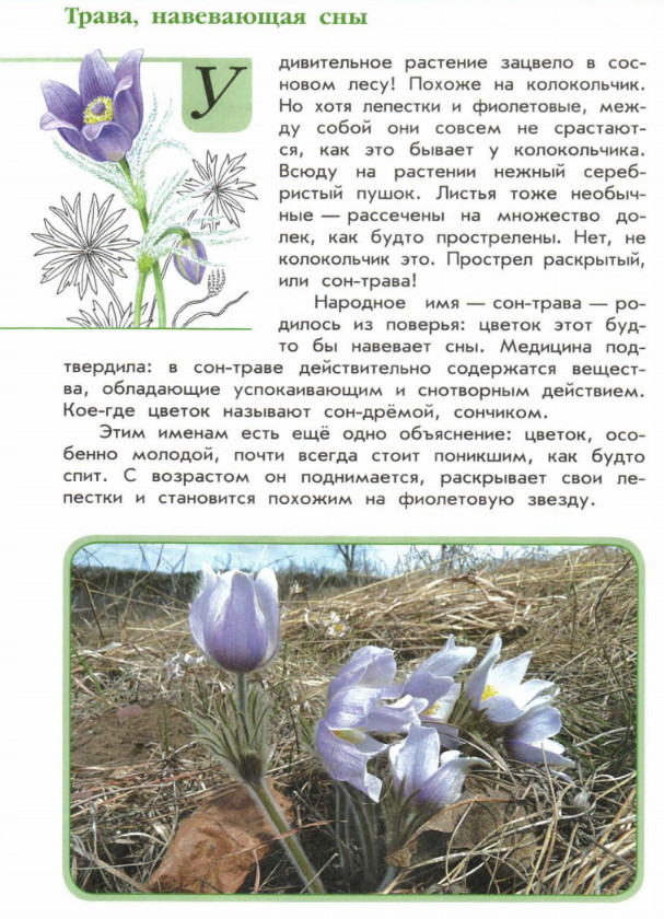 Книга Зеленые страницы. Растения - где читать онлайн?